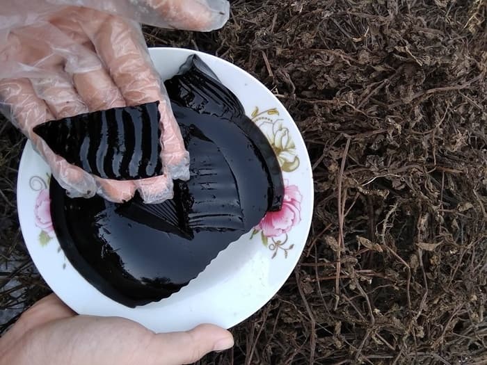 Làm thạch sương sáo không giòn ngon là vì bạn chưa biết mẹo này Làm thạch sương sáo không giòn ngon là vì bạn chưa biết mẹo này