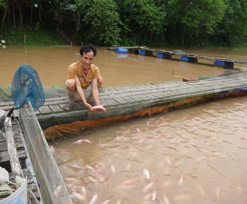 Nông dân làm giàu từ mô hình nuôi cá lồng trên sông