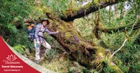Tour trekking leo núi Pu Ta Leng 3 ngày 2 đêm