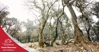 Tour trekking leo núi Khang Su Văn 3 ngày 2 đêm