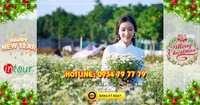 Tour du lịch miền Tây Đồng Tháp - Chùa Lá Sen 2 ngày 1 đêm Tết Dương Lịch 2023