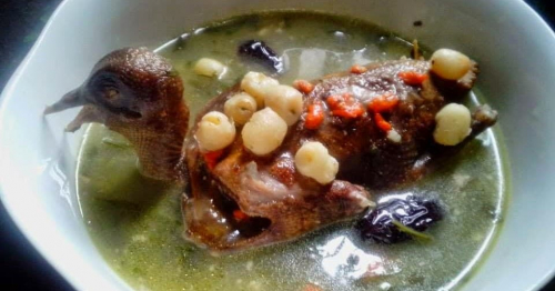  Cách chế biến chim bồ câu hầm thuốc bắc bổ dưỡng