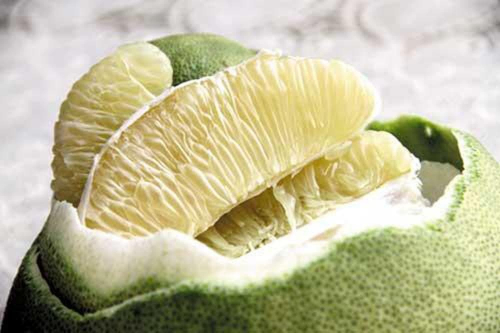  Bài thuốc chữa bệnh từ bưởi