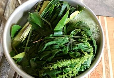 Cách dùng lá xông hơi giải cảm