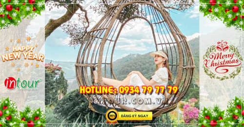 Tour du lịch Đà Lạt 3 ngày 2 đêm Tết Dương Lịch 2023