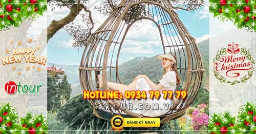 Tour du lịch Đà Lạt 3 ngày 2 đêm Tết Dương Lịch 2023
