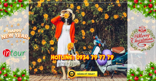 Tour du lịch Đà Lạt 3 ngày 3 đêm Tết Dương Lịch 2023