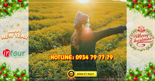 Tour du lịch Sapa Điện Biên Mộc Châu Mai Châu 4 ngày 3 đêm Tết Dương Lịch 2023
