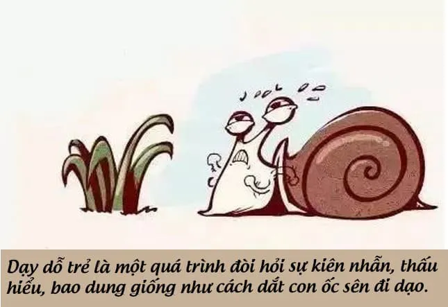 Câu chuyện 