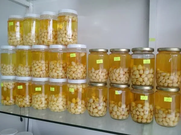 Bạn đã thử tỏi ngâm rượu thần dược trời ban cho người nghèo? Trị đau nhức xương hiệu quả!