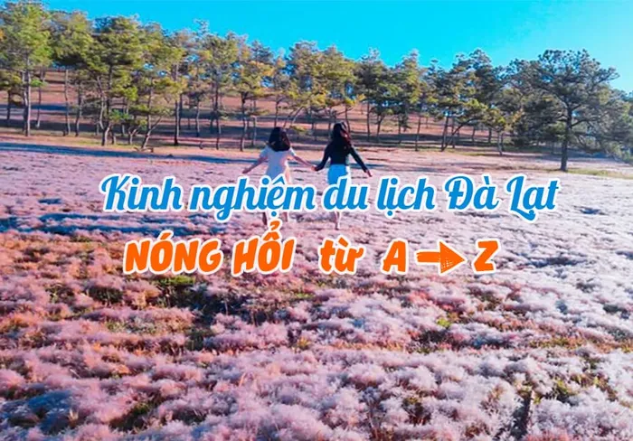 Kinh nghiệm du lịch Đà Lạt