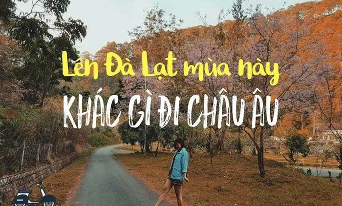 Đi Đà Lạt có gì chơi