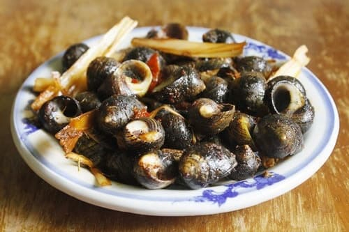 Muốn làm ốc xào sả ớt thơm lừng thì phải biết công thức cực chuẩn này