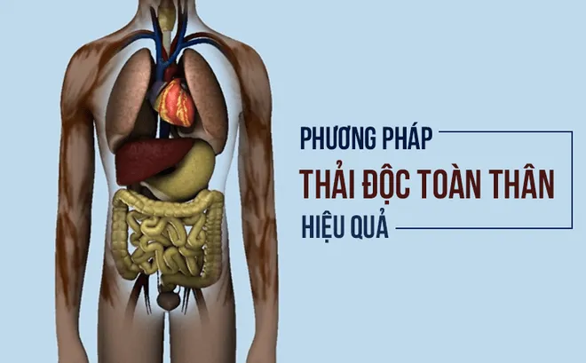 “Đuổi” 12 độc tố khỏi cơ thể
