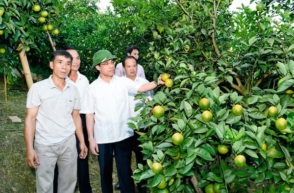 Nhà khoa học chân đất xứ Tuyên 