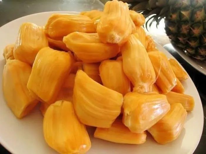 Trồng mít Tứ quý nông dân quanh năm thu tiền