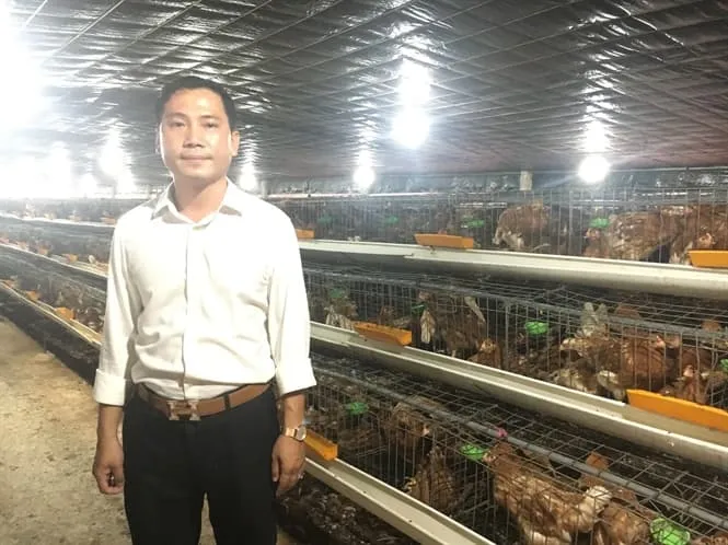 Choáng trước trại gà đẻ 330.000 con được nuôi trong... điều hòa