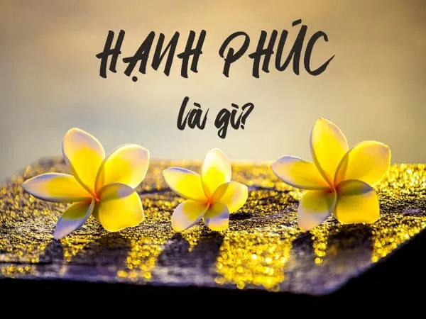 Tại sao bạn cần thành công mới cảm thấy hạnh phúc?