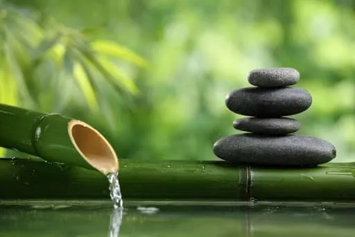 Nỗ lực luyện tập rồi lại 