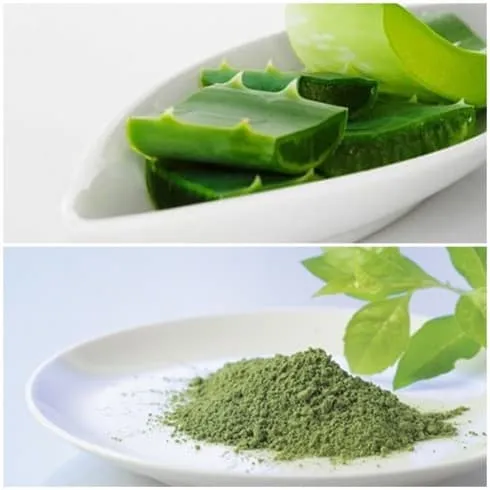 Cách trị mụn hiệu quả tại nhà