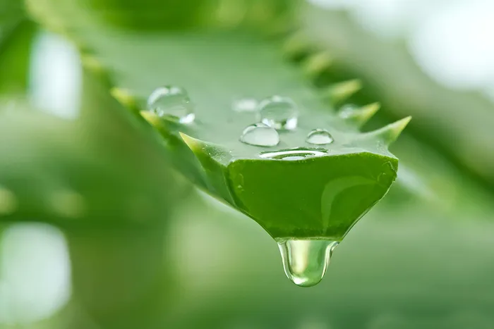 Cách làm trắng da mặt tự nhiên nhanh nhất tại nhà 