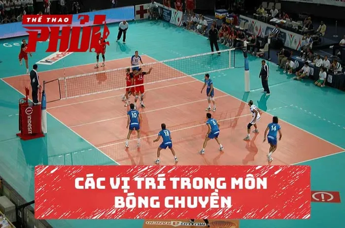 Các vị trí trong môn bóng chuyền.