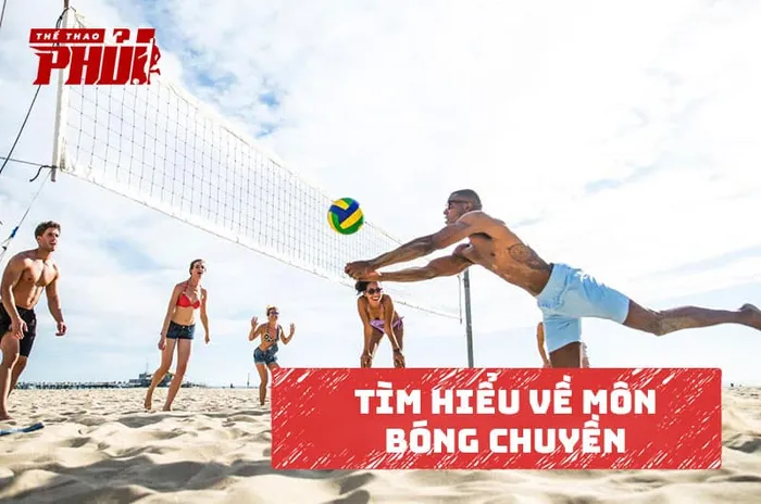 Tìm hiểu về môn bóng chuyền.
