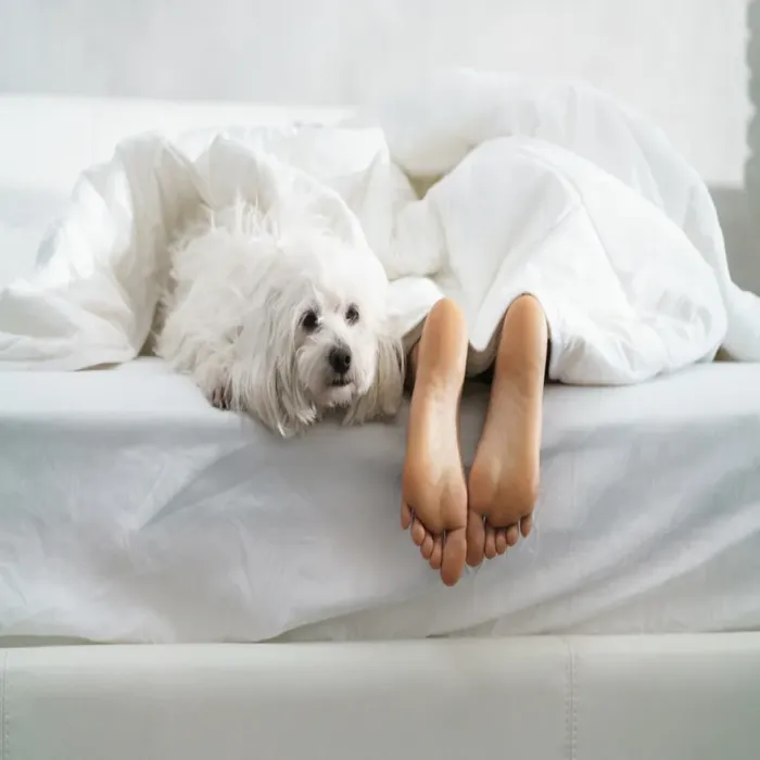Mách bạn chế độ ăn giúp ngủ ngon