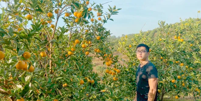 Chàng trai tốt nghiệp trường tốp, bỏ thành phố về quê làm nông