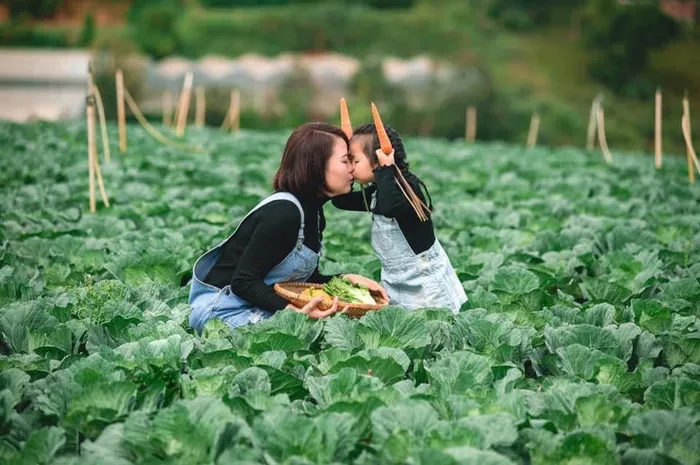 Với 3,5 triệu đồng, mẹ đơn thân dẫn theo con gái đi tìm cuộc sống mới...