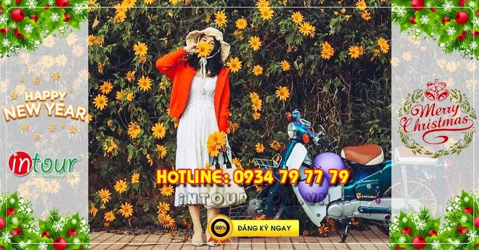 Tour du lịch Đà Lạt 3 ngày 3 đêm Tết Dương Lịch 2023